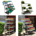 Outdoor Iron Display Folding Nursery Plant Transport Flower Trolley Carts